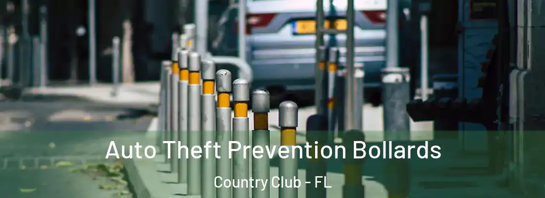  Auto Theft Prevention Bollards Country Club - FL